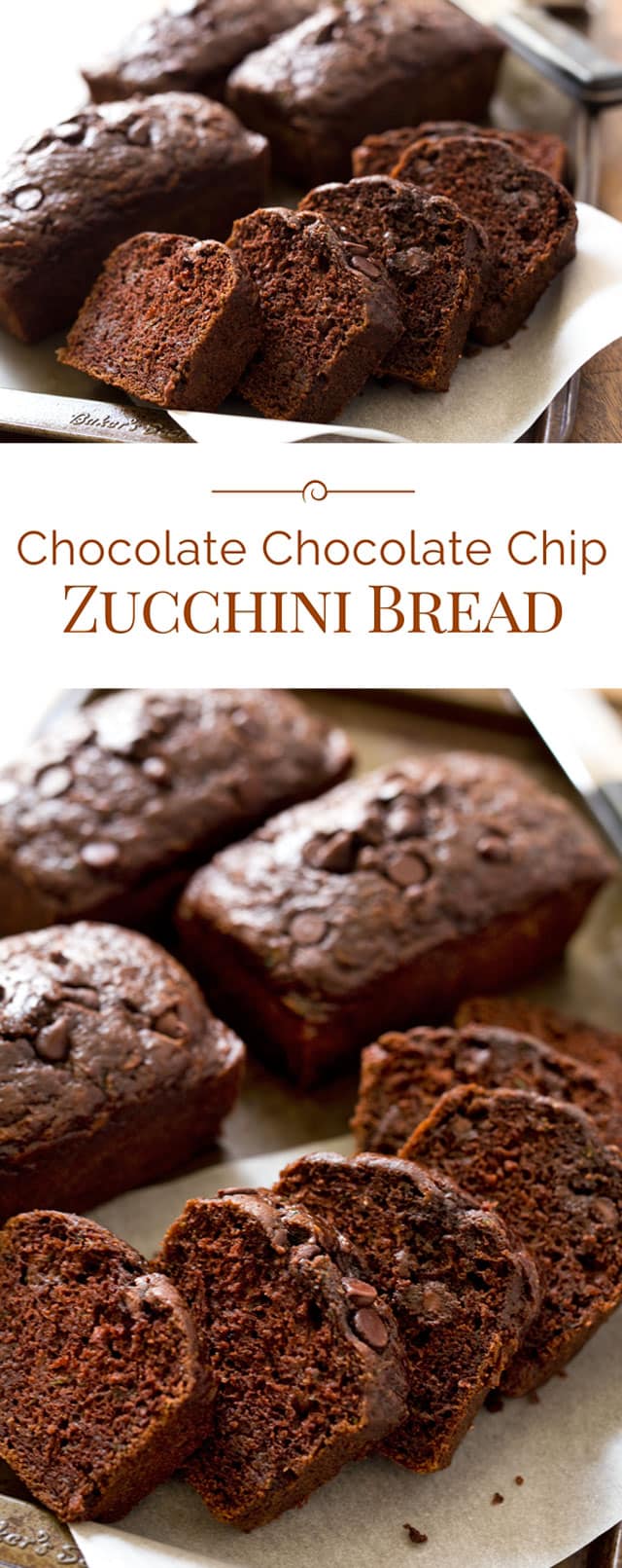Chocolate Chocolate Chip Zucchini Bread - Barbara Bakes