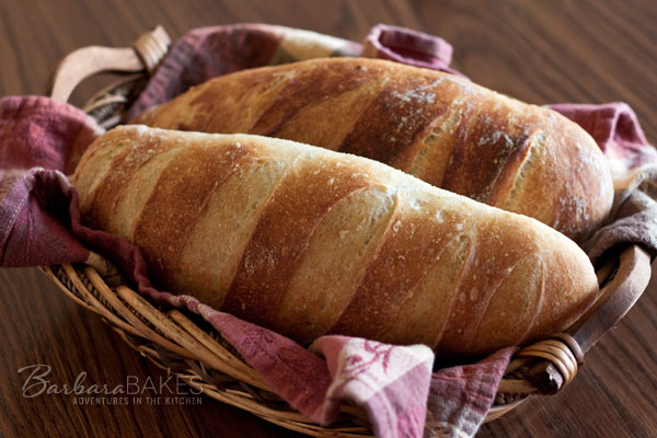 Artisan-Bread-in-5-Barbara-Bakes