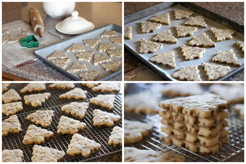 Cinnamon-Chip-Shortbread-Cookies-Collage