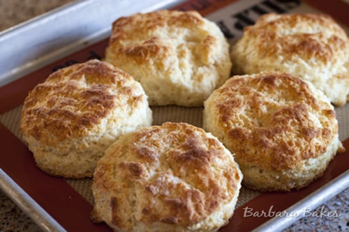 Buttermilk-Biscuits-Barbara-Bakes
