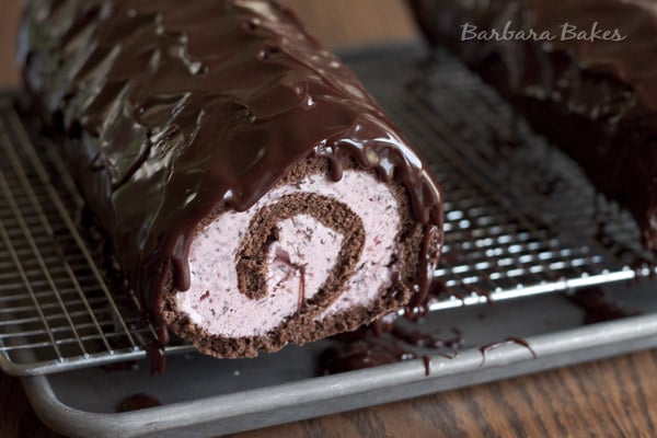 Chocolate-Ice-Cream-Cake-Roll-Barbara-Bakes