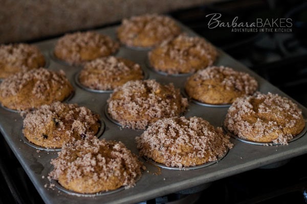 Whole-Wheat-Pumpkin-Cranberry-Streusel-Muffins-4-Barbara-Bakes
