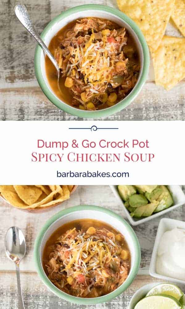 Pinterest image of Dump & Go Crock Pot Spicy Chicken Soup