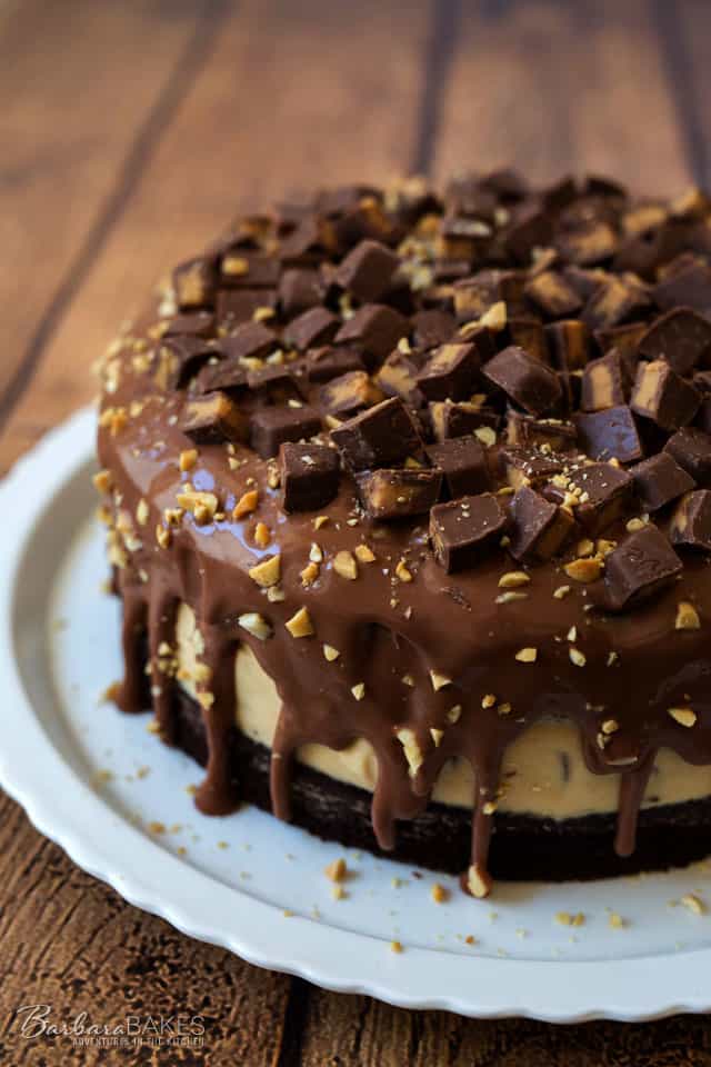 A rich, fudgy chocolate layer cake with a no-bake peanut butter cheesecake filling .