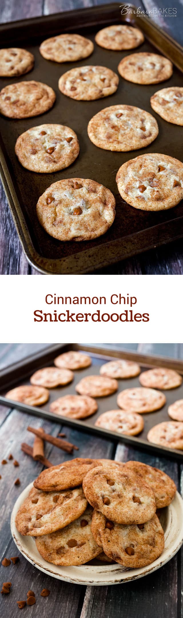 Cinnamon-Chip-Snickerdoodle-Collage-Barbara-Bakes