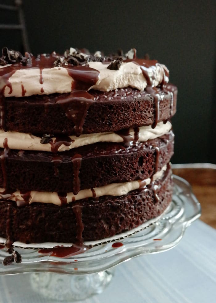 Mississippi Mudslide Cake from Chocolate Chocolate and More