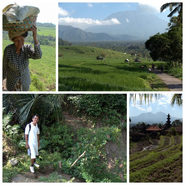 Collage of trekking through the rice paddies in East Bali