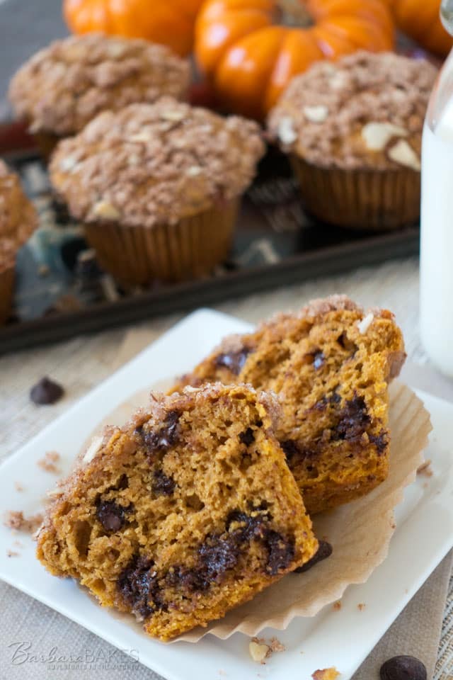 If you love pumpkin chocolate chip bread, you'll love these lighter, fluffier, quicker-cooking pumpkin chocolate chip muffins.