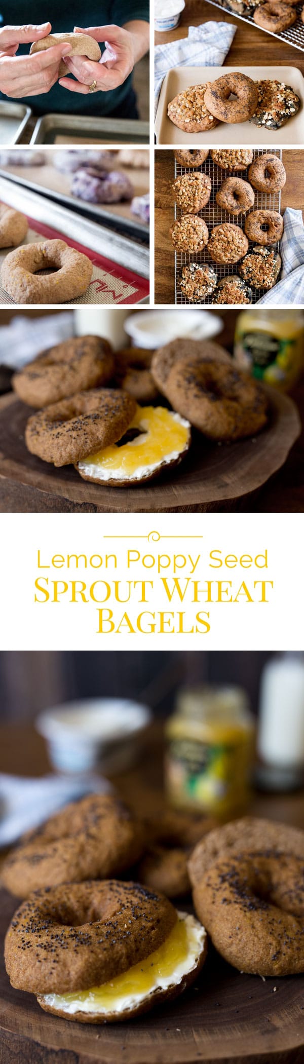 Sprouted-Whole-Wheat-Bagel-Collage-2-Barbara-Bakes