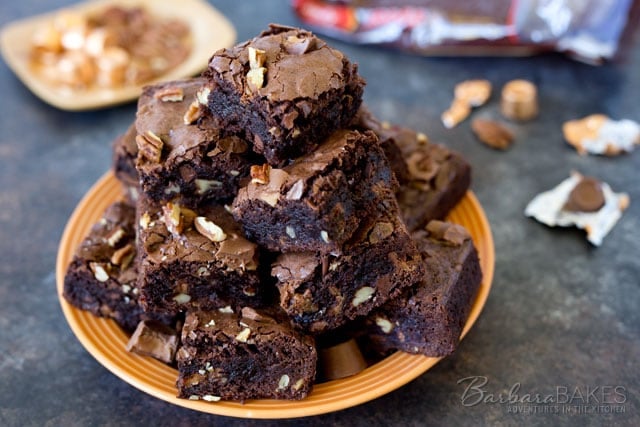 Featured Image for post Shortcut Turtle Brownies 