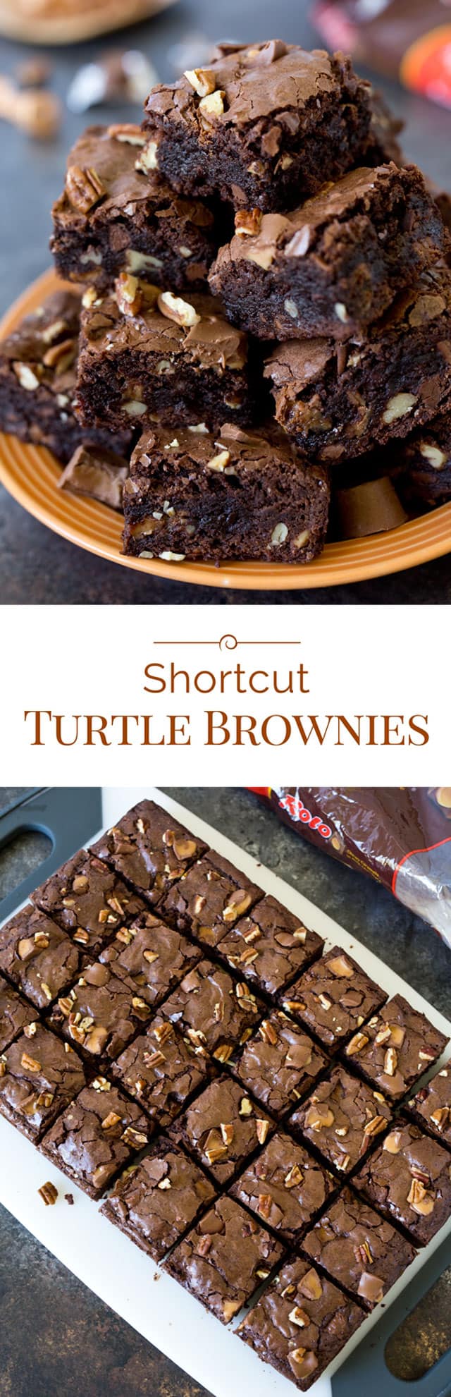 Shortcut-Turtle-Brownies-Collage-Barbara-Bakes