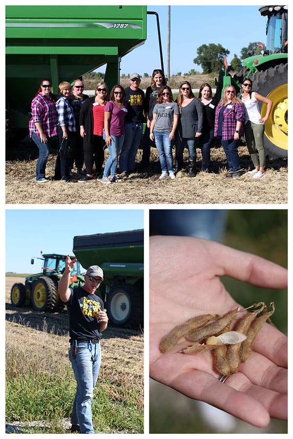 Photo collage of Iowa harvest time. 