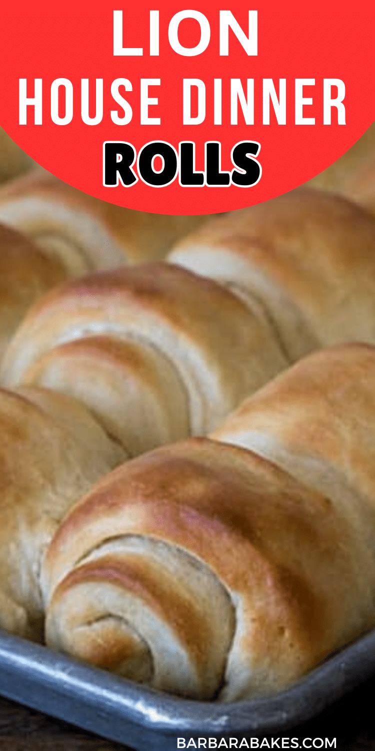 Lion House Rolls Recipe Barbara Bakes™