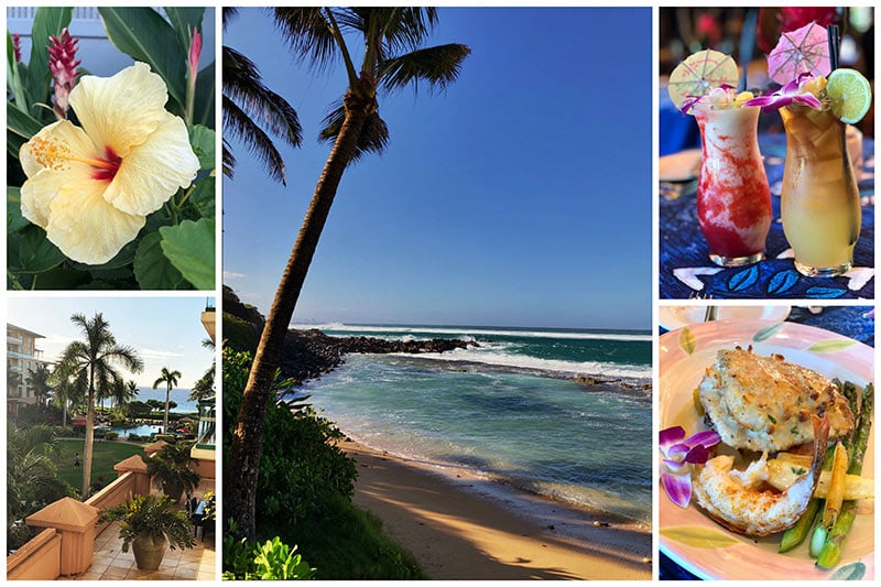 collage of Fun Things To Eat And Do In Maui