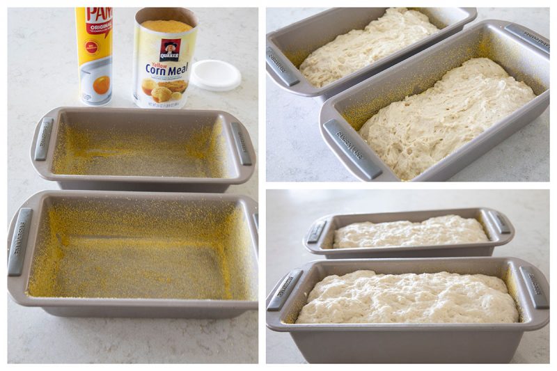 Collage of three photos. First photo two loaf pans sprayed with nonstick cooking spray and coated with Corn Meal. Second photo unrisen dough in loaf pans. Third photo is risen dough in two loaf pans.
