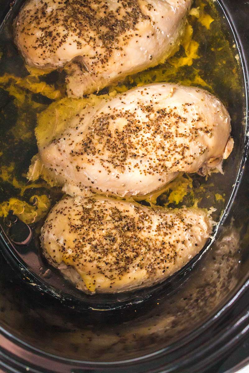 close up on seasoned chicken breasts