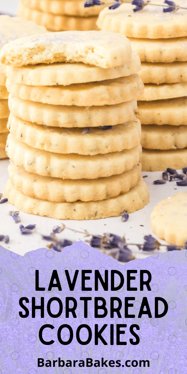 pin for lavender shortbread cookie recipe with the cream colored circle cookies arranged aesthetically with sprigs of dried lavender around