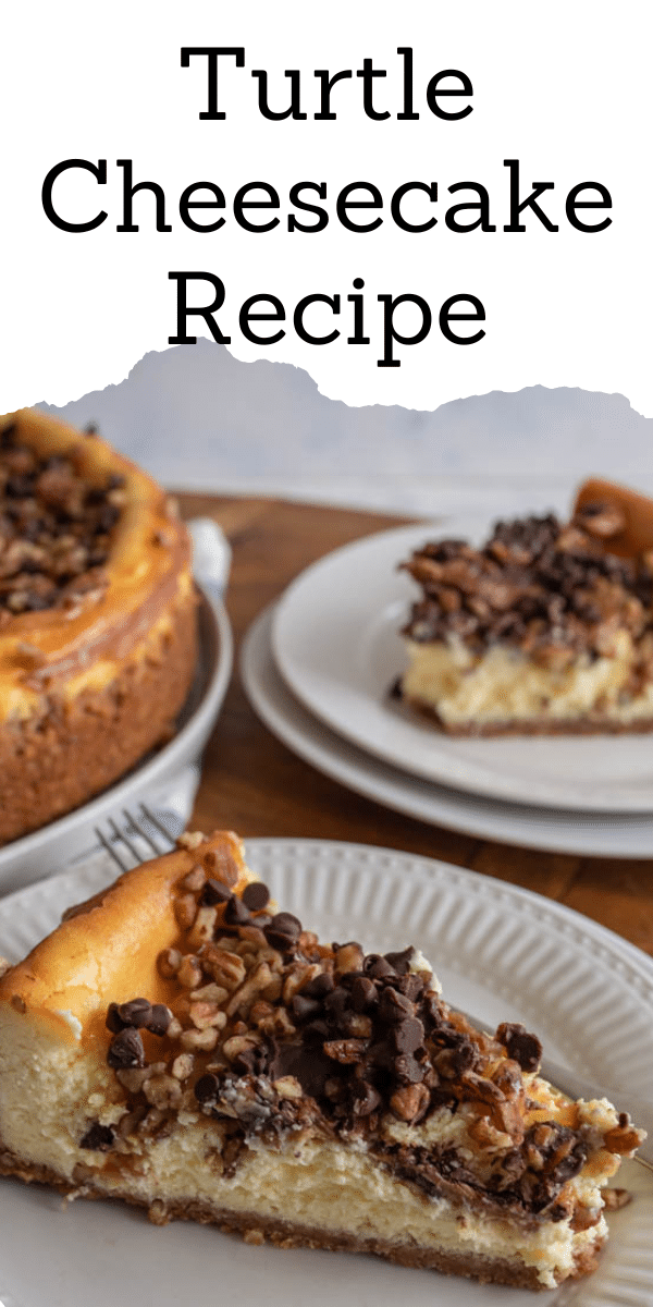 Turtle Cheesecake is an indulgent dessert that is rich and creamy in texture, features pecans, sticky caramel, and gooey chocolatey drizzle. via @barbarabakes