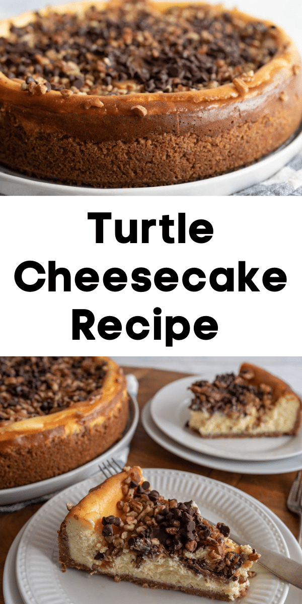 Turtle Cheesecake is an indulgent dessert that is rich and creamy in texture, features pecans, sticky caramel, and gooey chocolatey drizzle. via @barbarabakes