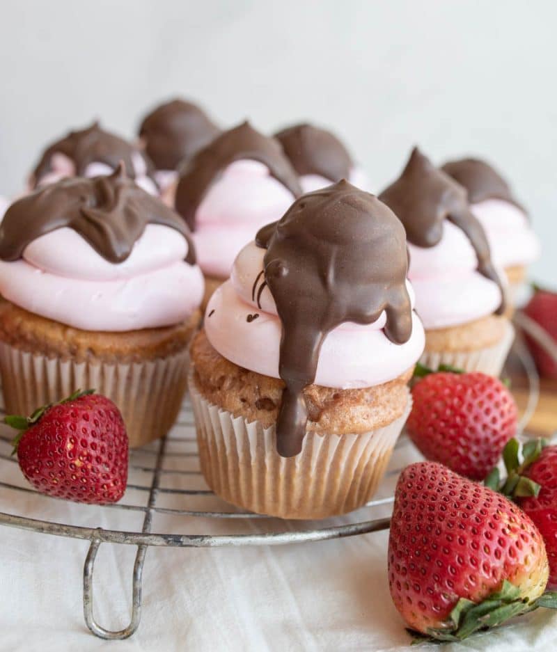 Close-up of chocolate covered strawberry cupcakes.