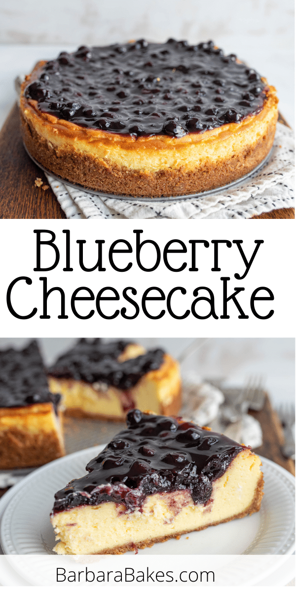 Experience a heavenly fusion of creamy cheesecake and tangy blueberries in this delightful Blueberry Cheesecake via @barbarabakes