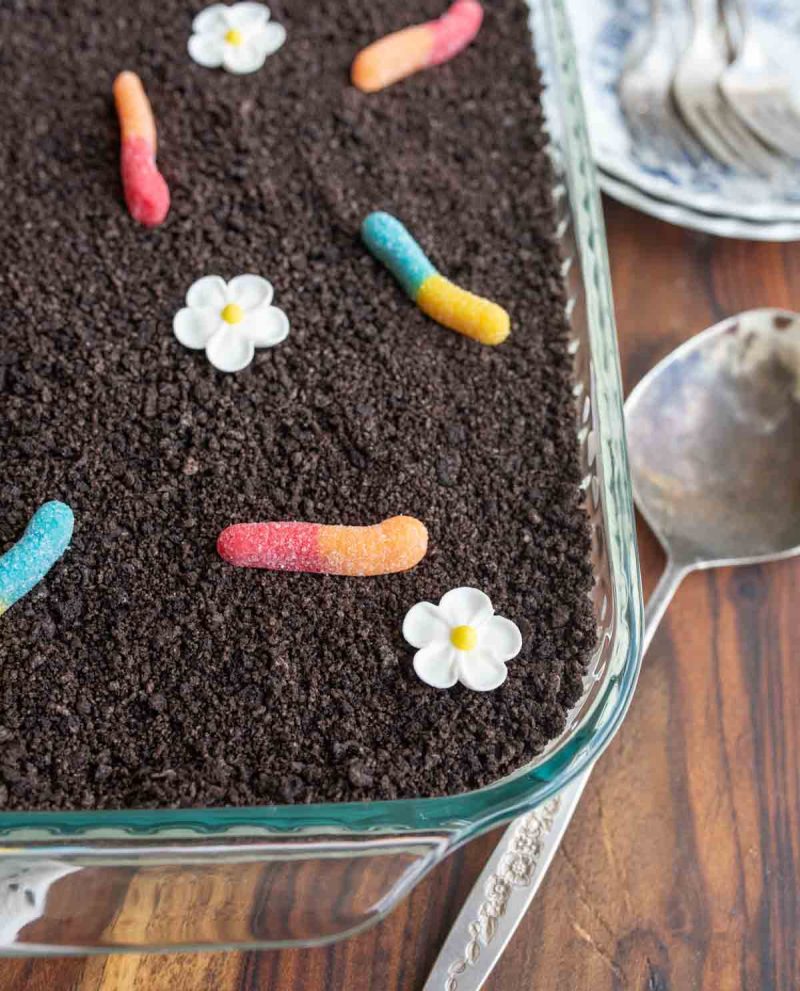 Close up of the dirt cake.